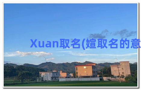 Xuan取名(媗取名的意义)